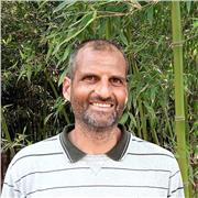 Professore di Filosofia e Storia fornisce lezioni di fiolosofia e storia per studenti delle scuole superiori